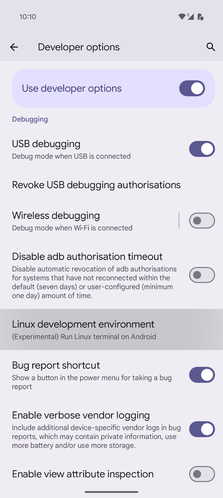 Developer option for the linux development environment